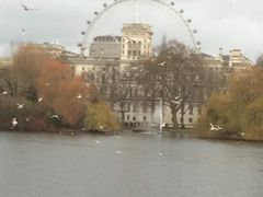 -海德公园
