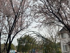 -鹅湖玫瑰文化园