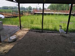 -白渔泡湿地公园