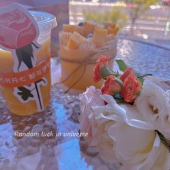 -瑞安母贝安月子会所