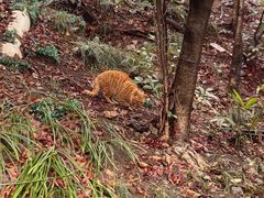 -狼山风景名胜区