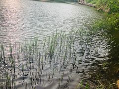 -嵖岈山风景区