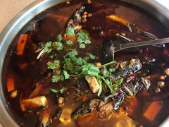 -汉水缘鲜鱼庄(黄雁村店)