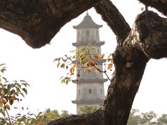 -江心屿景区