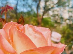 -人民公园(罗湖区)