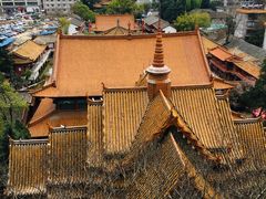 -昆明动物园