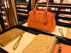 -COACH蔻驰(百联奥特莱斯广场店)