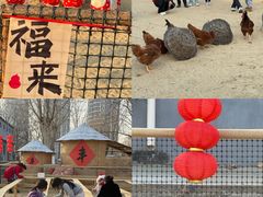 -北戴河集发农业梦想王国
