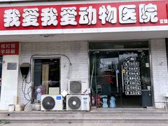 -中农大我爱我爱24h动物医院·中医针灸·猫专科·骨科医疗中心(双井店)