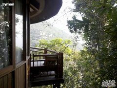 -三亚亚龙湾人间天堂鸟巢度假村