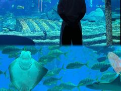 -OSSIANO奥西亚诺海底餐厅