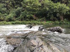 -石台牯牛降景区
