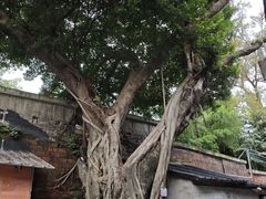 -荔湾湖公园