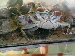 -小乡小镇·传承桐庐土菜·老板亲自烧的菜