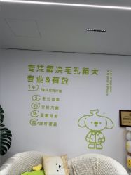 -凡碧诗毛孔清洁收细