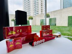 -成都尼依格罗酒店