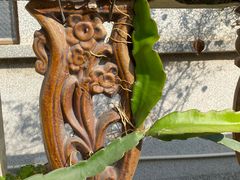 -平海古城