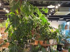 -自由生长植物工作室(深港花卉中心店)