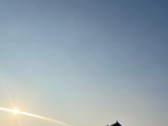 -黄贤森林公园