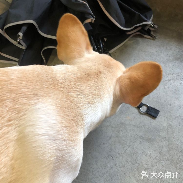 上海 ｜ 精致· 日本风