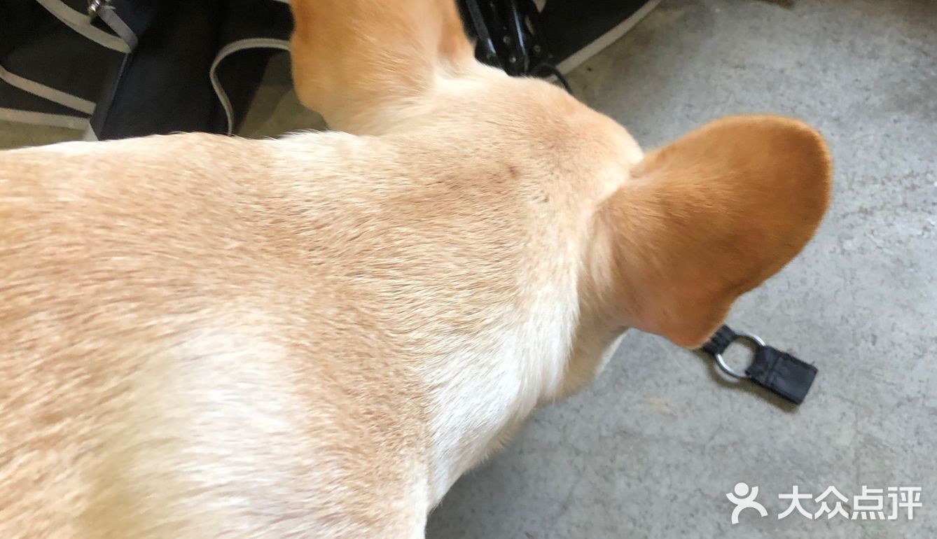 上海 ｜ 精致· 日本风