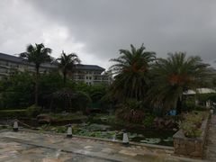 -采粤轩中餐厅(惠州金海湾喜来登度假酒店)
