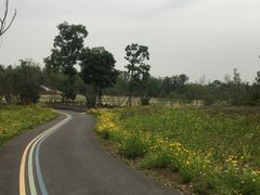 -白鹭湾湿地公园