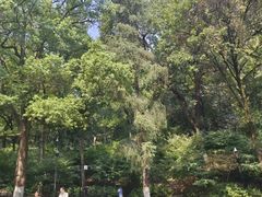 -岳麓山风景名胜区