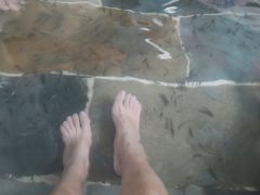 -兴芮温泉度假区