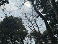 -灵顺寺