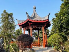 -东莞植物园
