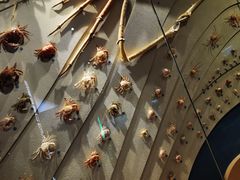 -中国湿地博物馆