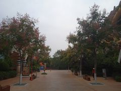 -郑州方特梦幻王国