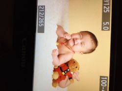 Bearcooky专业儿童摄影-小熊饼干专业儿童摄影