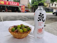 -彭大姐老店黄辣丁(新津店)