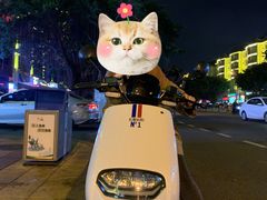 -三亚湾电动车租赁(三亚湾店)