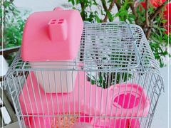 -T-COFFEE(长江花园店)