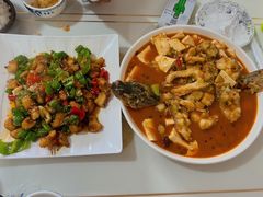 -煲来饱去冷水鱼