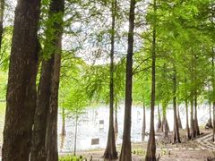 -梅州天地人花园酒店(梅县人民广场店)