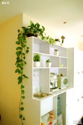 DSC_1506_conew1-极致·本色 发型工作室