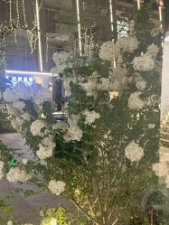 -WAVE SODA摄影工作室