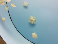 -常州海昌海洋探索馆