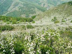 -灵山