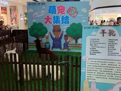 -上海颛桥万达广场