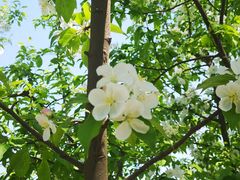 -大兴滨河森林公园