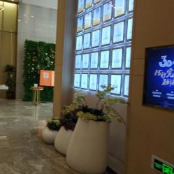-成都艾特他整形外科医院