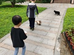 -广州雕塑公园