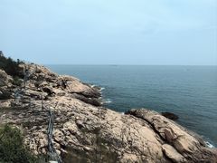 -广东惠东海龟国家级自然保护区