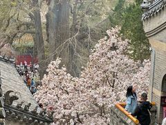 -潭柘寺景区