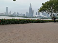 -深圳湾公园(南山区)